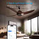 HomeKit WiFi Smart Ceiling Fan Light Wall Switch Dimmer Light Switch