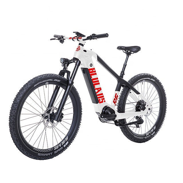 Blulans S6 16Ah 576Wh 500W Carbon Fiber Bicycle Electric Bike E-bike